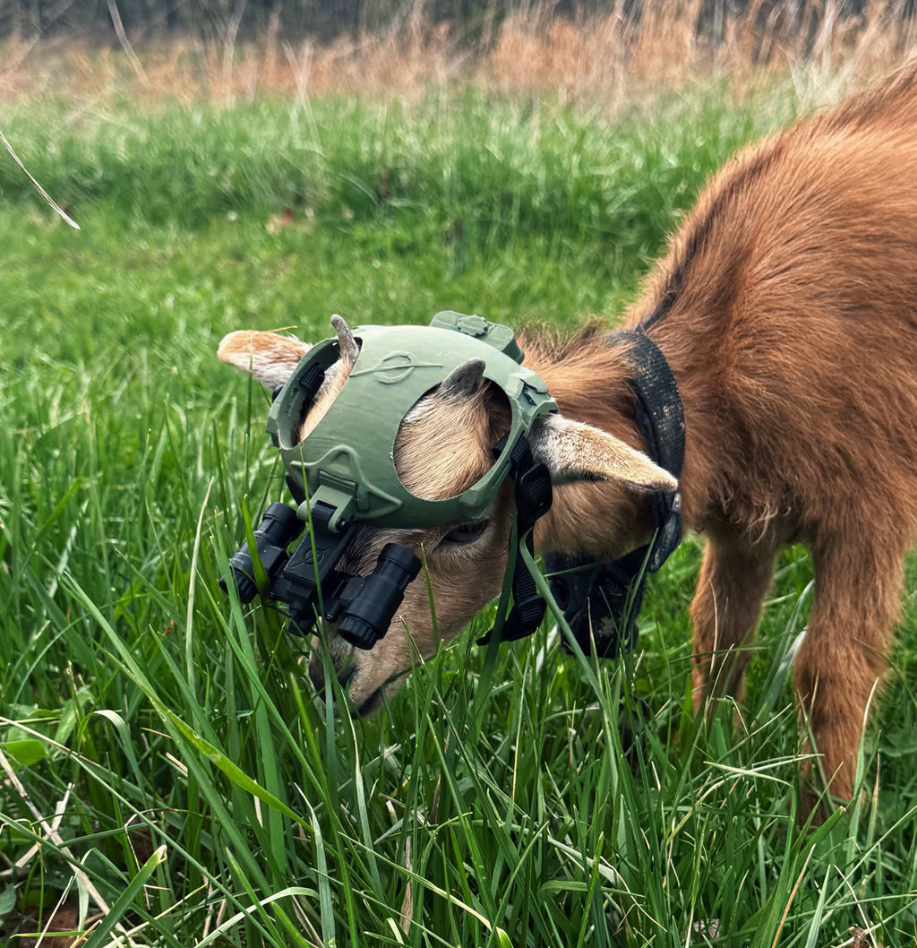 Gravity Tactical - Feline Division Kibble6 Nods