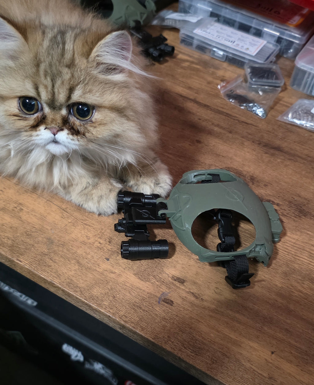 Gravity Tactical - Feline Division Kibble6 Nods
