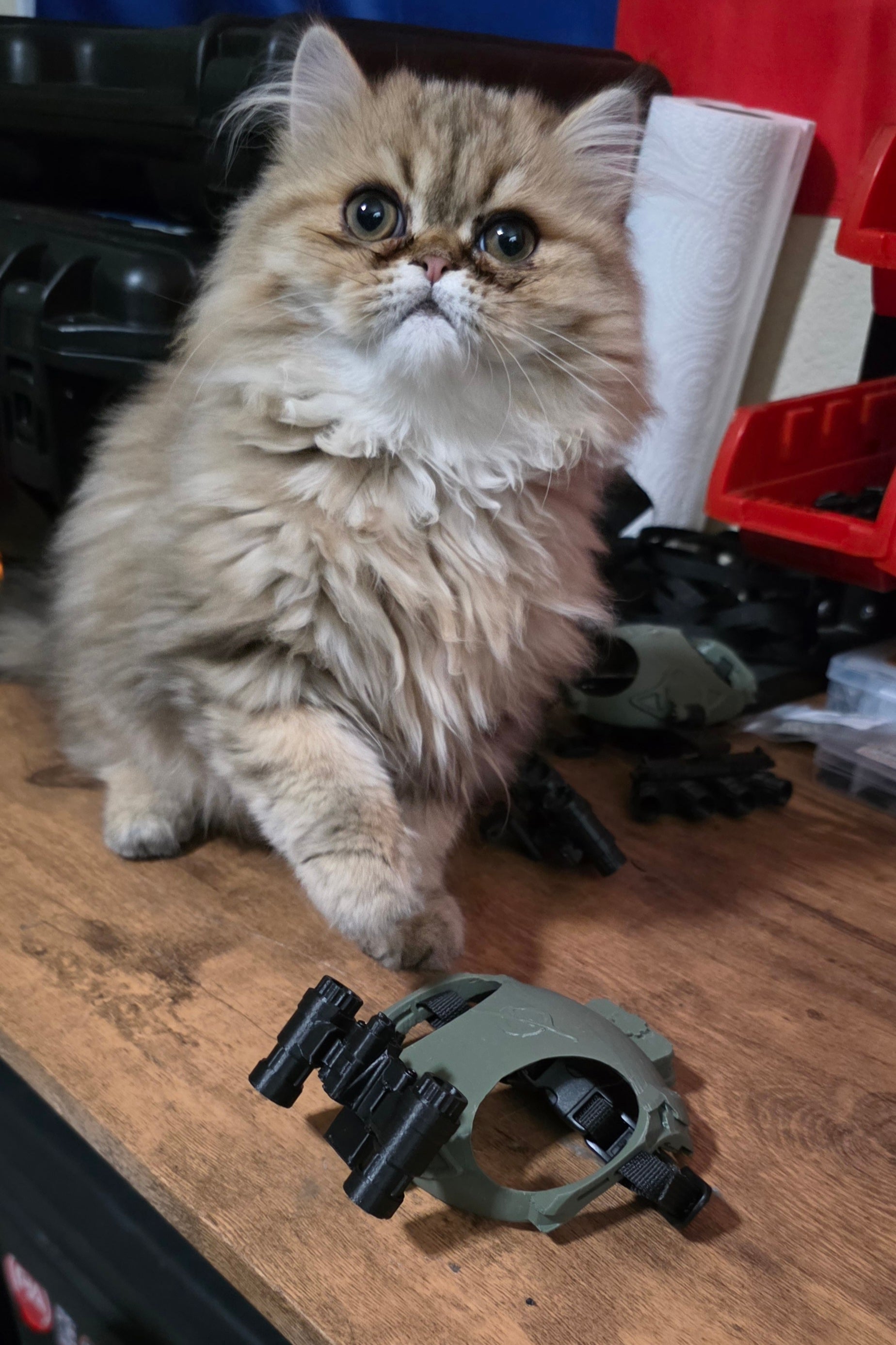 Gravity Tactical - Feline Division Kibble6 Nods