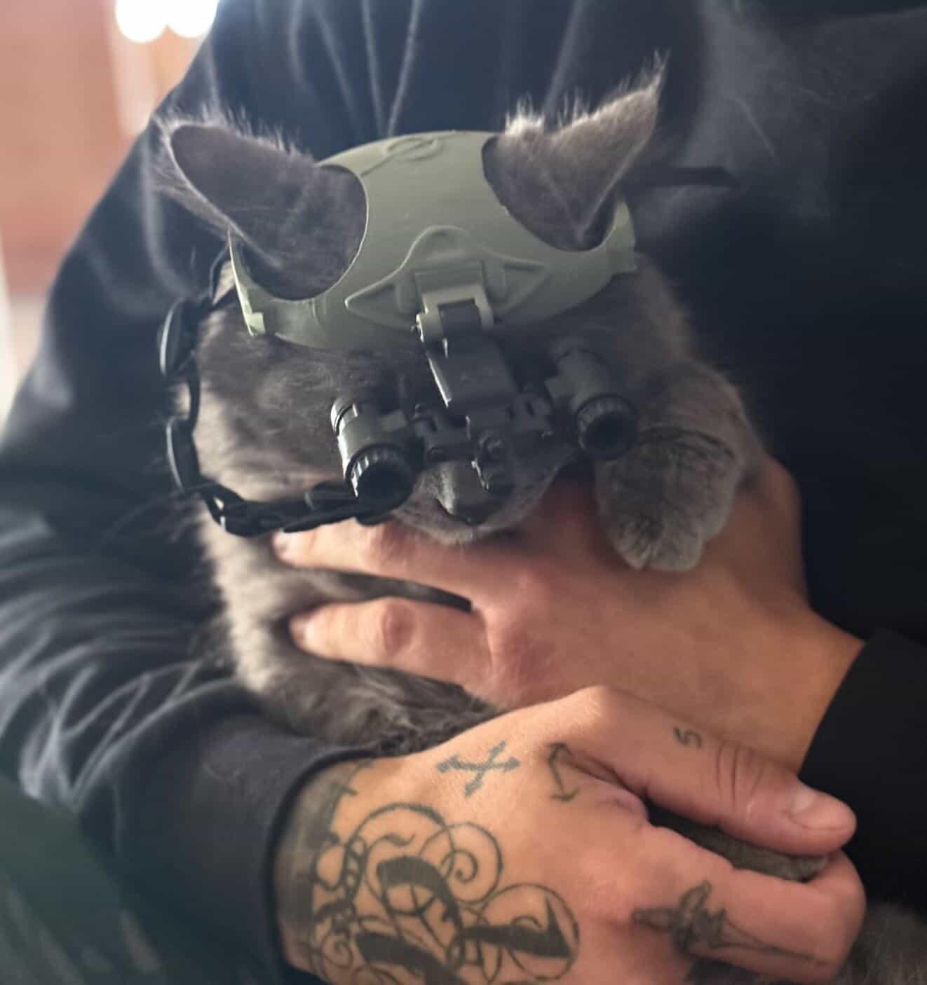 Gravity Tactical - Feline Division Kibble6 Nods