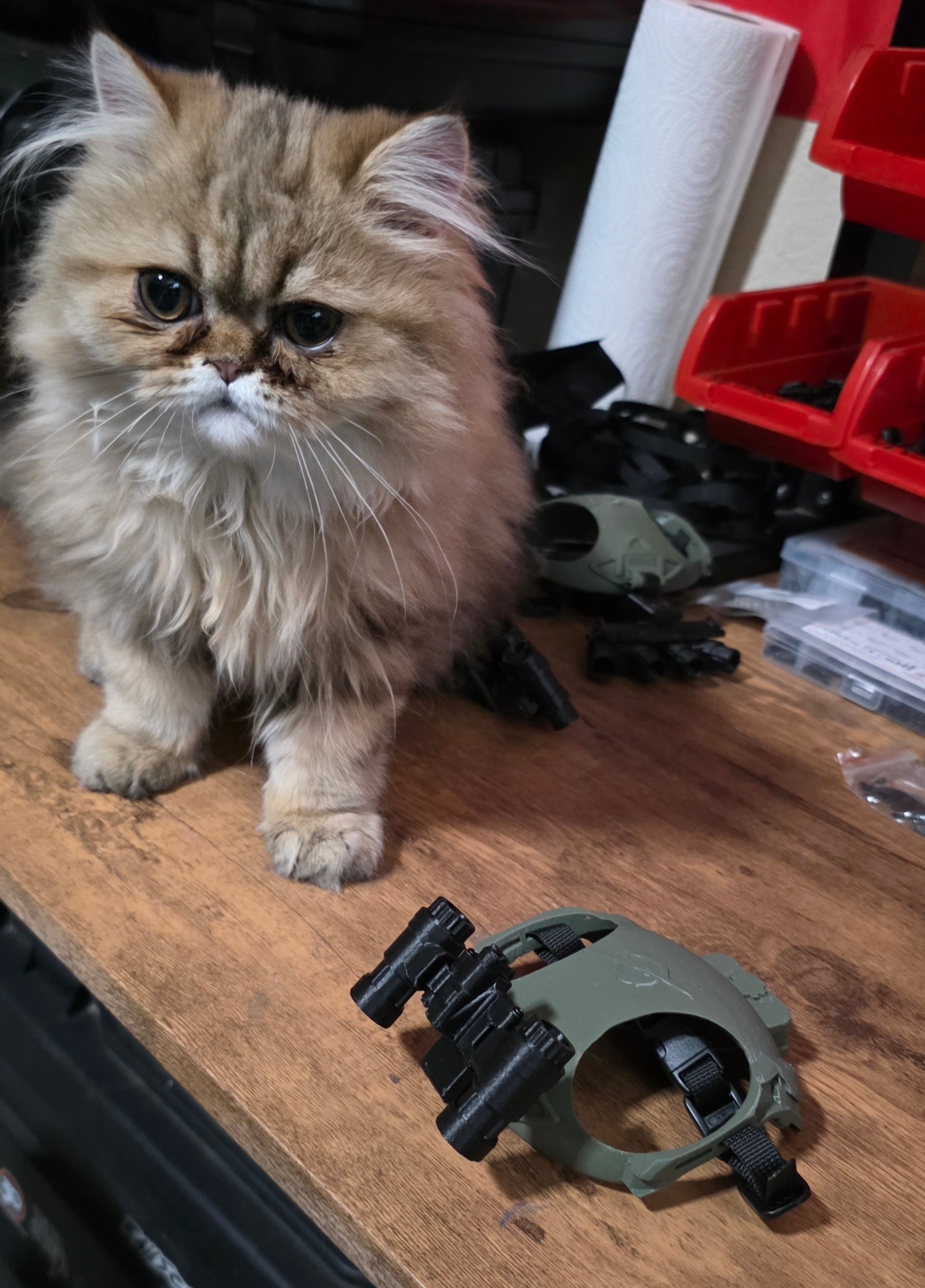 Gravity Tactical - Feline Division Kibble6 Nods