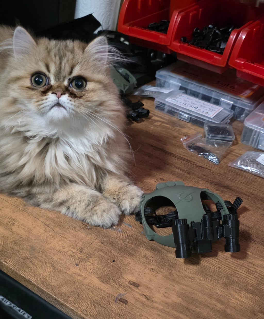 Gravity Tactical - Feline Division Kibble6 Nods