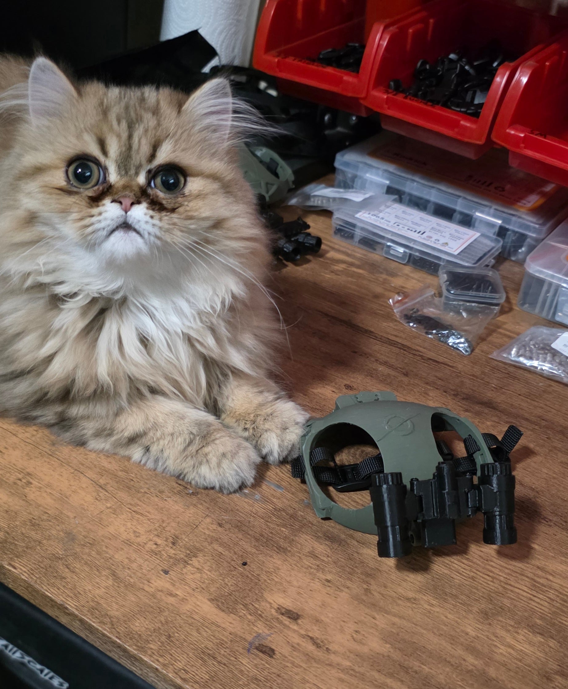 Gravity Tactical - Feline Division Kibble6 Nods