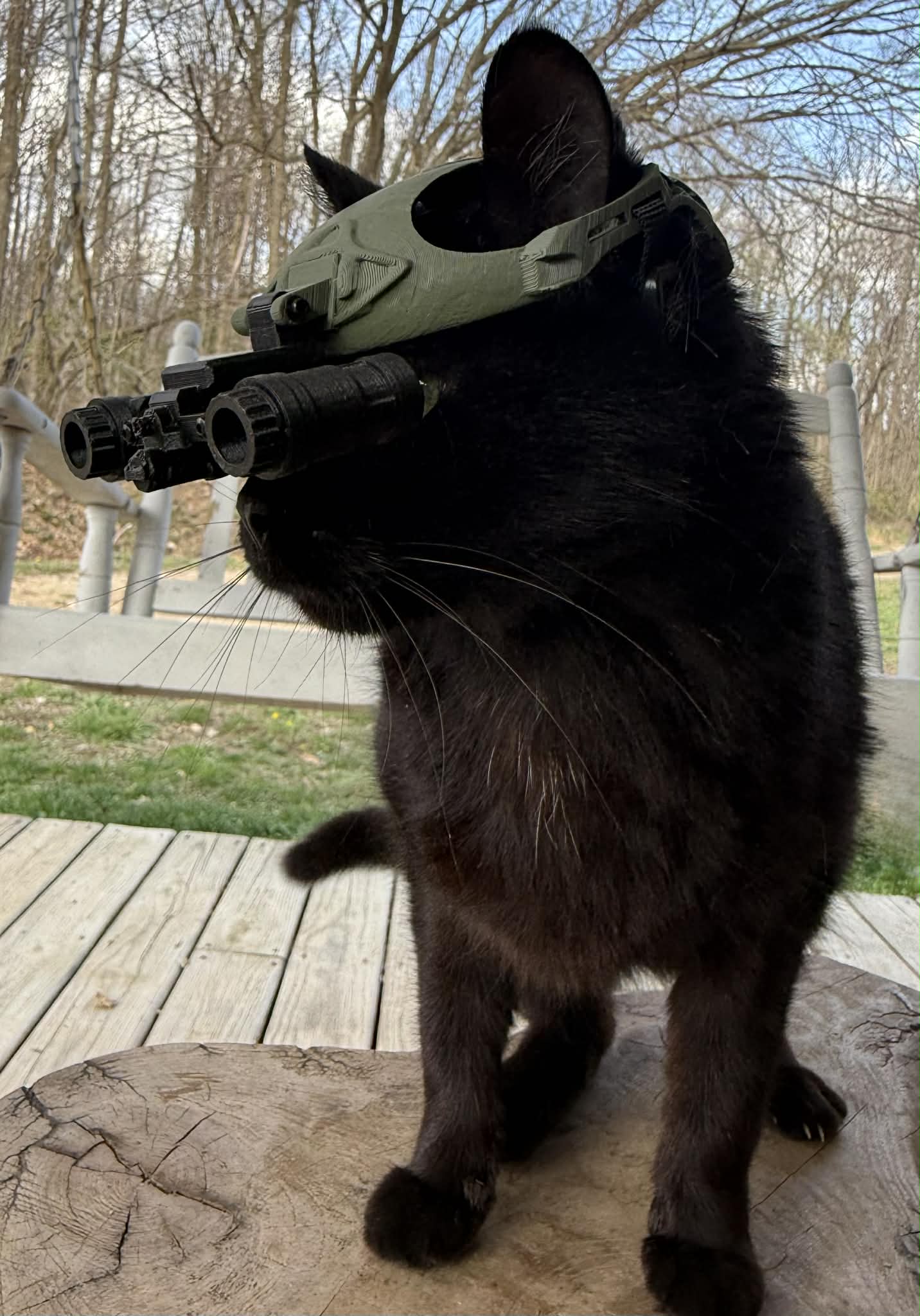 Gravity Tactical - Feline Division Kibble6 Nods