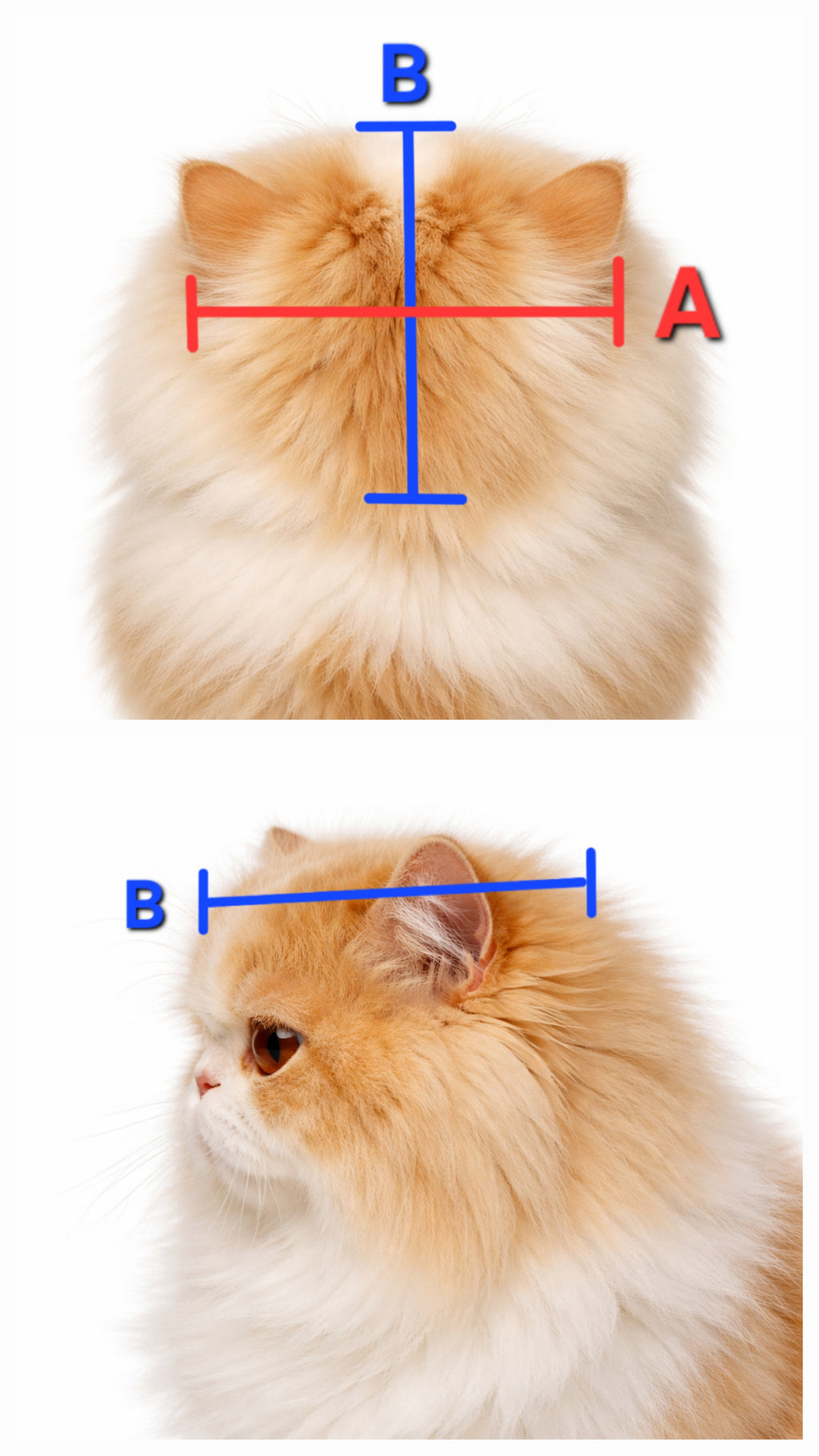 Gravity Tactical - Feline Division Kibble6 Nods